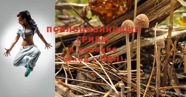 синтетический гашиш Нязепетровск