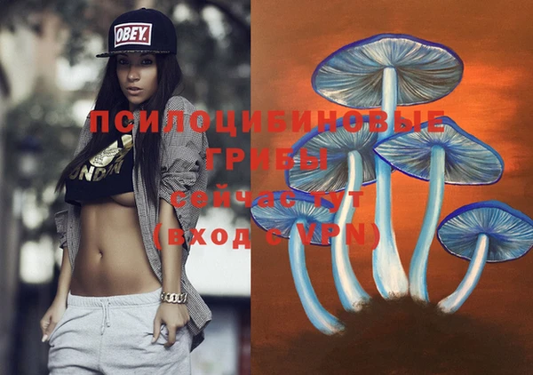 PSILOCYBIN Балабаново