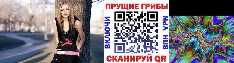 наркотики  мега ссылки  Псилоцибиновые грибы Cubensis  Нахабино 